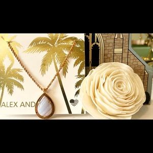 Alex and Ani Gold Necklace with Stone